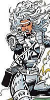 silver-sable-13-hir